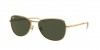 RB3733 Sunglasses