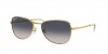 RB3733 Sunglasses