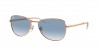RB3733 Sunglasses