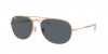 RB3735 Bain Bridge Sunglasses