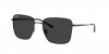 RB3752I Sunglasses