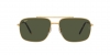 RB3796 Sunglasses