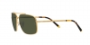 RB3796 Sunglasses