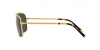 RB3796 Sunglasses
