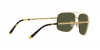 RB3796 Sunglasses