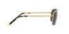 RB3796 Sunglasses