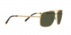 RB3796 Sunglasses