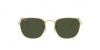RB3857 Frank Sunglasses