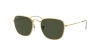 RB3857 Frank Sunglasses
