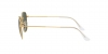 RB3857 Frank Sunglasses