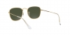 RB3857 Frank Sunglasses