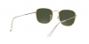 RB3857 Frank Sunglasses