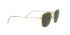 RB3857 Frank Sunglasses