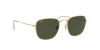RB3857 Frank Sunglasses