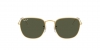 RB3857 Frank Sunglasses