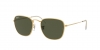 RB3857 Frank Sunglasses