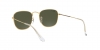 RB3857 Frank Sunglasses