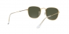 RB3857 Frank Sunglasses
