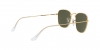 RB3857 Frank Sunglasses