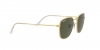 RB3857 Frank Sunglasses