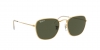 RB3857 Frank Sunglasses