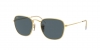 RB3857 Frank Sunglasses