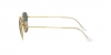 RB3857 Frank Sunglasses