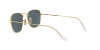 RB3857 Frank Sunglasses