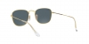 RB3857 Frank Sunglasses
