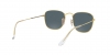 RB3857 Frank Sunglasses