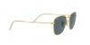 RB3857 Frank Sunglasses