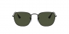 RB3857 Frank Sunglasses