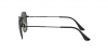 RB3857 Frank Sunglasses