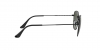 RB3857 Frank Sunglasses