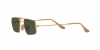 RB3957 Julie Sunglasses