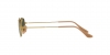 RB3957 Julie Sunglasses