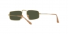 RB3957 Julie Sunglasses