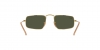 RB3957 Julie Sunglasses