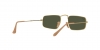 RB3957 Julie Sunglasses