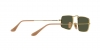 RB3957 Julie Sunglasses