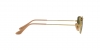 RB3957 Julie Sunglasses