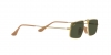 RB3957 Julie Sunglasses