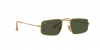 RB3957 Julie Sunglasses