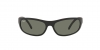 RB3957 Julie Sunglasses