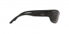 RB3957 Julie Sunglasses