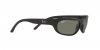 RB3957 Julie Sunglasses