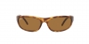 RB3957 Julie Sunglasses