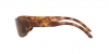 RB3957 Julie Sunglasses