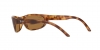 RB3957 Julie Sunglasses