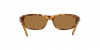 RB3957 Julie Sunglasses